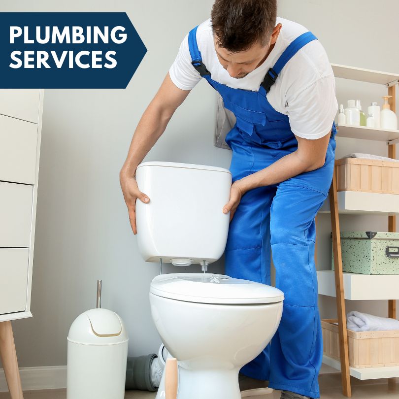 Plumbing Company in Nathrop, CO
